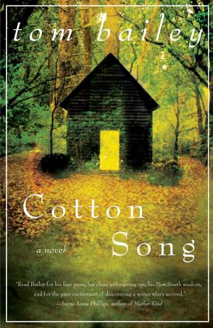 bigCover of the book Cotton Song by 