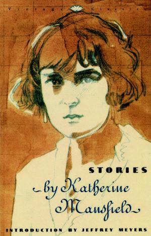 Cover of the book Stories by Dan Hofstadter