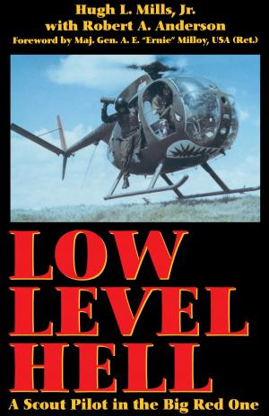 Cover of the book Low Level Hell by Nora DeLoach