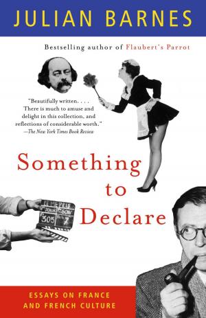 bigCover of the book Something to Declare by 