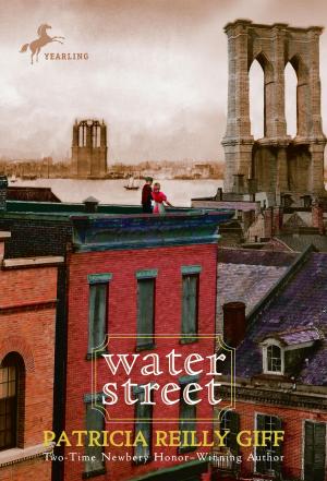 Cover of the book Water Street by Evan Kuhlman