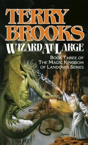 Cover of the book Wizard at Large by Edmund Morris