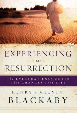 Cover of the book Experiencing the Resurrection by Alice Gray, Dr. Steve Stephens