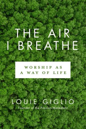 Cover of the book The Air I Breathe by Liz Curtis Higgs