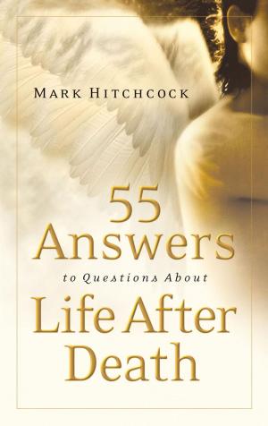 bigCover of the book 55 Answers to Questions about Life After Death by 