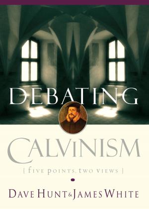Book cover of Debating Calvinism