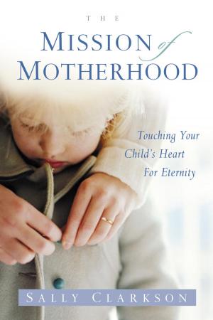 bigCover of the book The Mission of Motherhood by 