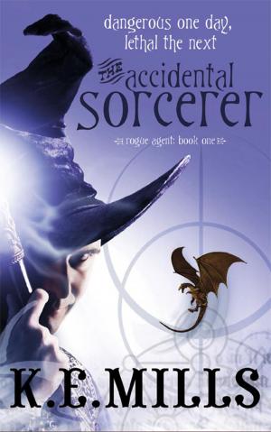 Cover of the book The Accidental Sorcerer by Jon Courtenay Grimwood