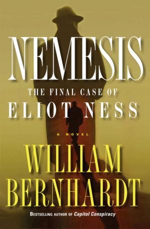 Cover of the book Nemesis by Excene