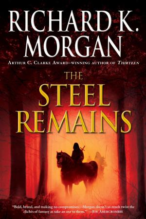 Cover of the book The Steel Remains by Ruth Owen