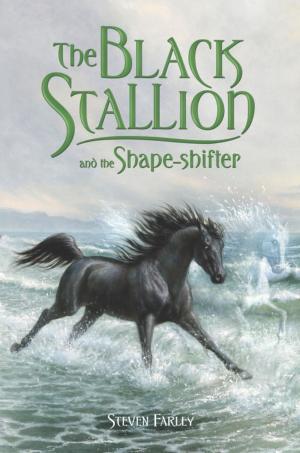 Cover of the book The Black Stallion and the Shape-shifter by Laura Bickle