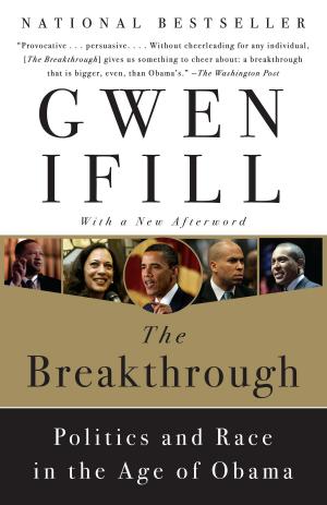 Cover of the book The Breakthrough by Jeff Talarigo