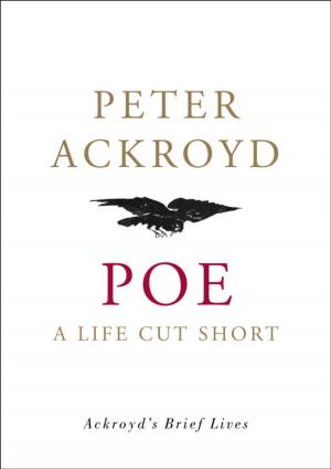 bigCover of the book Poe by 