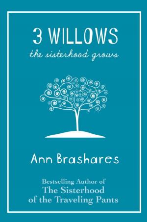 Cover of the book 3 Willows by Joan Lowery Nixon
