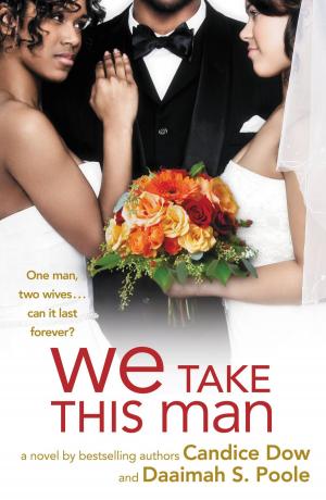 Cover of the book We Take This Man by Troy Conway