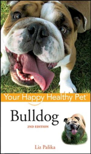 Cover of the book Bulldog by Rabbi Deborah Prinz