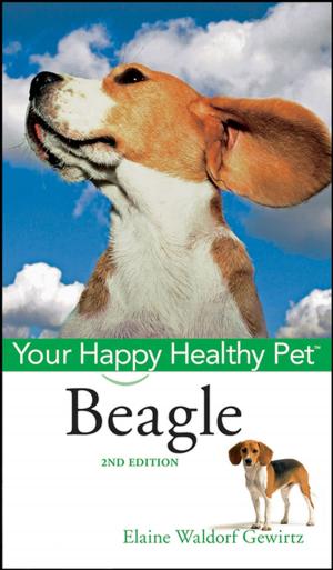 Cover of the book Beagle by Marcel Danesi
