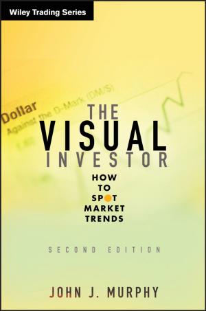 Book cover of The Visual Investor