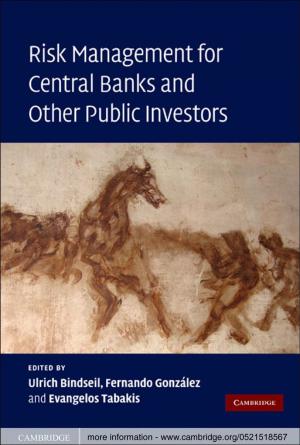 Cover of the book Risk Management for Central Banks and Other Public Investors by Ronald Schleifer
