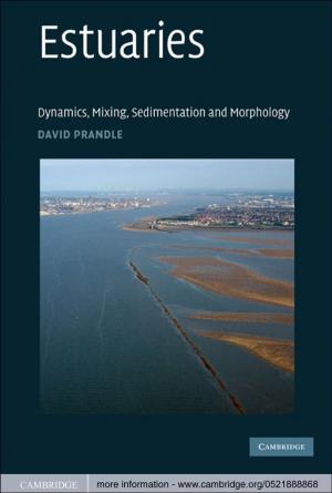 Cover of the book Estuaries by 