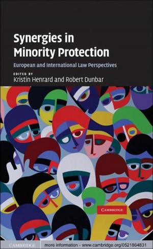 Cover of the book Synergies in Minority Protection by Zoltan L. Hajnal