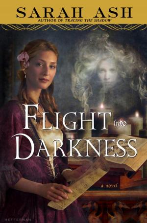 Cover of the book Flight into Darkness by Jennifer duBois