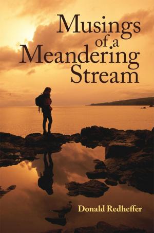 Cover of the book Musings of a Meandering Stream by Vee Konkin