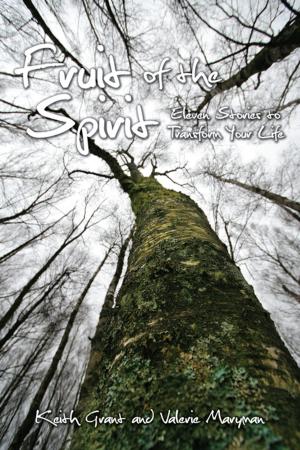 Cover of the book Fruit of the Spirit by Todd M. Thiede