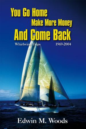 Cover of the book You Go Home Make More Money and Come Back by Peter Cassels-Brown