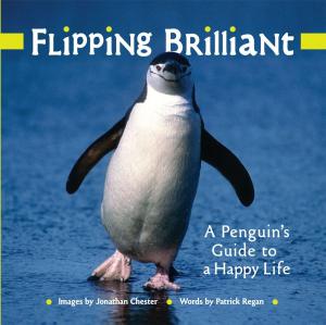Cover of the book Flipping Brilliant by Lincoln Peirce