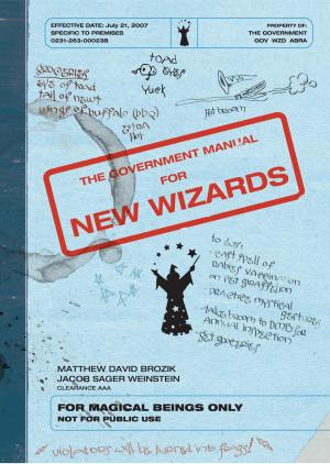 Book cover of The Government Manual for New Wizards