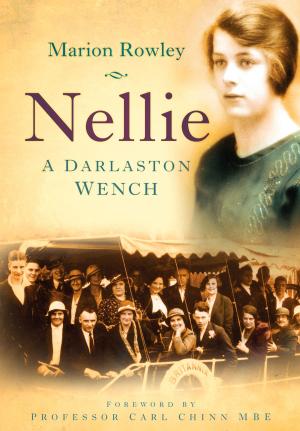 Cover of the book Nellie by Brendan Meyers