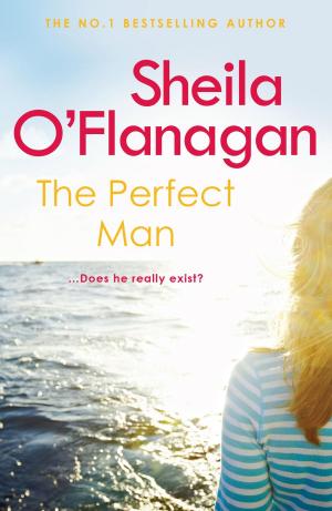 Cover of the book The Perfect Man by Quintin Jardine