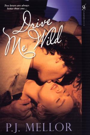 Cover of the book Drive Me Wild by Sherrill Quinn