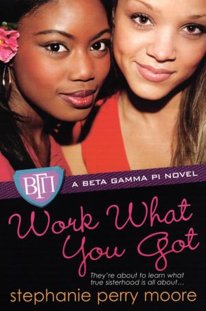 Cover of the book Work What You Got by Anita Doreen Diggs