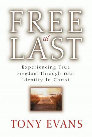 Cover of the book Free at Last by Erwin W. Lutzer