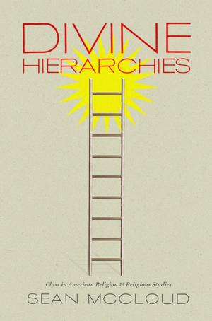 bigCover of the book Divine Hierarchies by 