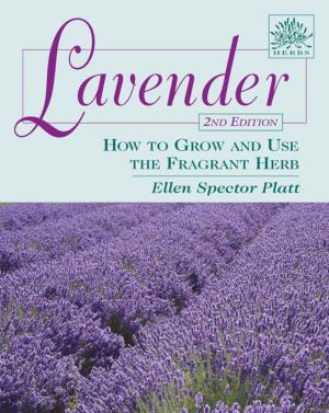 Cover of the book Lavender by Sharon Hernes Silverman