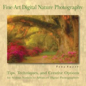 Book cover of Fine Art Digital Nature Photography