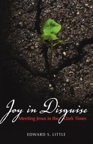 bigCover of the book Joy in Disguise by 