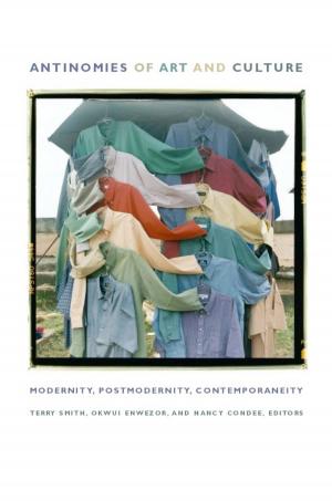 Cover of the book Antinomies of Art and Culture by Arturo J. Aldama, Walter D. Mignolo, Sonia Saldívar-Hull, Irene Silverblatt