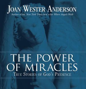Cover of the book The Power of Miracles by Mary DeTurris Poust