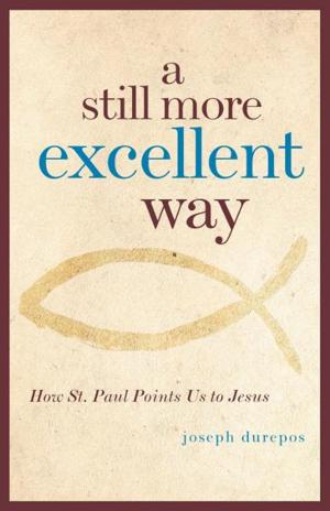 Cover of the book A Still More Excellent Way by 