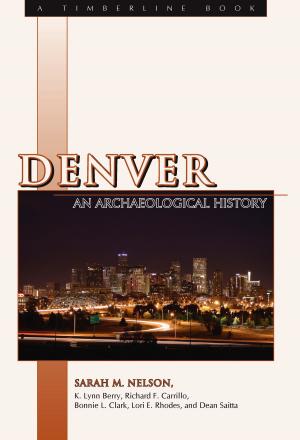 Cover of the book Denver by Ellen E. Wohl