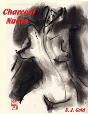 Book cover of Charcoal Nudes