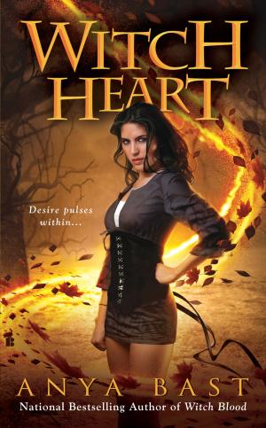 Cover of the book Witch Heart by R. J. Amos