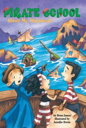 Cover of the book Shiver Me, Shipwreck! #8 by Brad Meltzer
