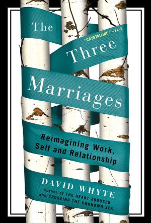 Cover of the book The Three Marriages by Judy Gelman, Vicki Levy Krupp