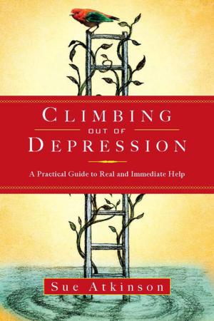 Cover of the book Climbing Out of Depression by J. D. Robb