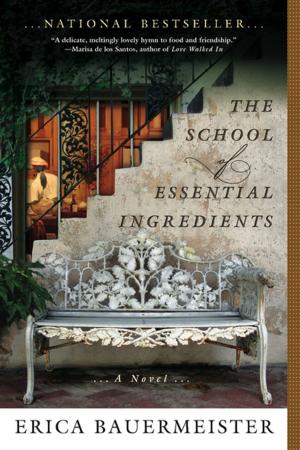 Book cover of The School of Essential Ingredients